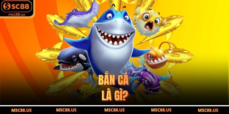Bắn Cá Là Gì?