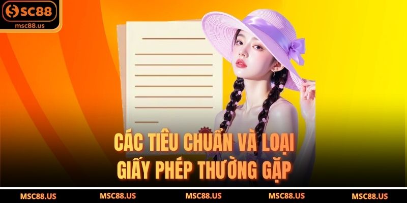 Các Tiêu Chuẩn Và Loại Giấy Phép Thường Gặp