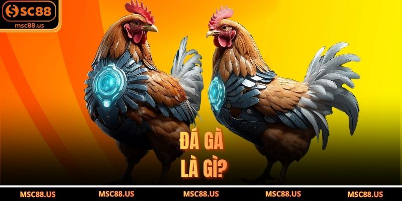 Đá gà là gì?