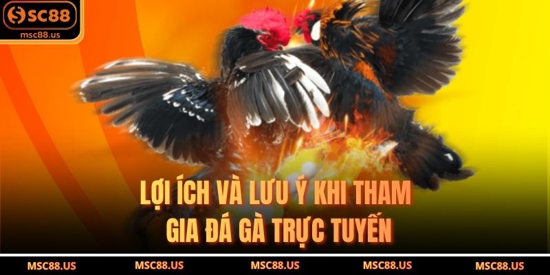 Lợi ích và lưu ý khi tham gia đá gà trực tuyến