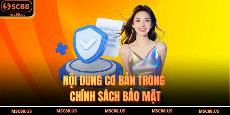 Nội Dung Cơ Bản Trong Chính Sách Bảo Mật